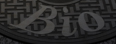 Bio